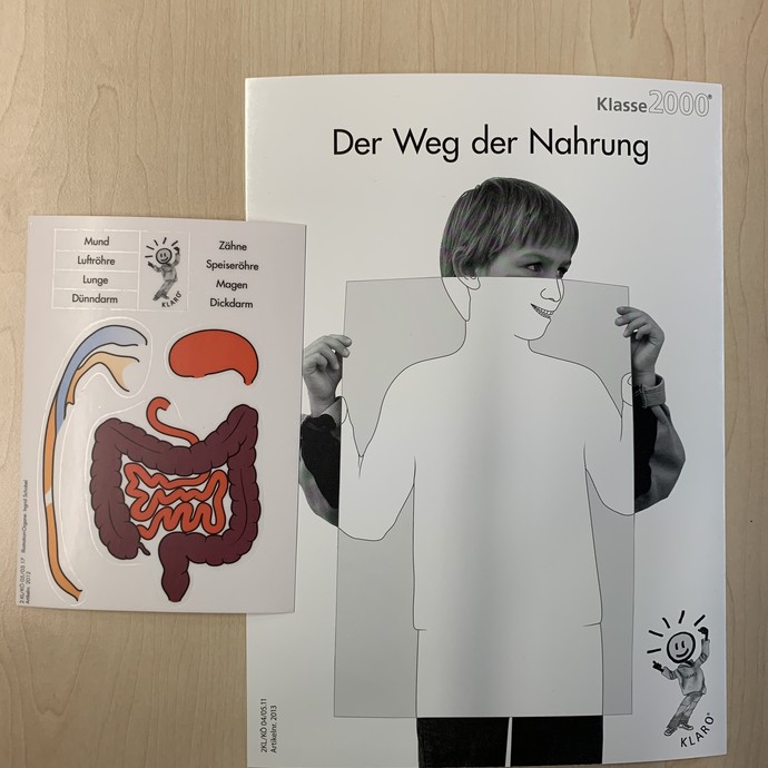 Der Weg der Nahrung (vergrößerte Bildansicht wird geöffnet)